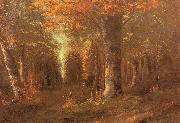 Gustave Courbet Forest in Autumn oil painting on canvas
